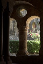 Provence804 Abbaye du Thoronet, le cloître : arcades géminées, oculus et chapiteau, jardin