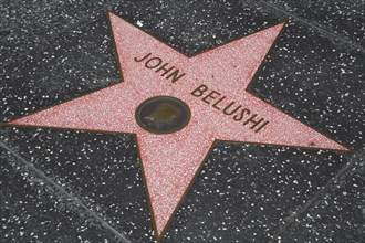 Hollywood Boulevard, Walk of Fame, stars / étoiles : John Belushi