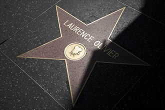 Hollywood Boulevard, Walk of Fame, stars / étoiles : Laurence Olivier