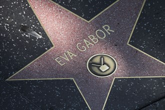 Hollywood Boulevard, Walk of Fame, stars / étoiles : Eva Gabor