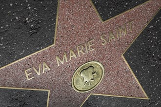 Hollywood Boulevard, Walk of Fame, stars / étoiles : Eva Marie Saint