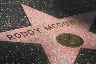 Hollywood Boulevard, Walk of Fame, stars / étoiles : Roddy McDowall