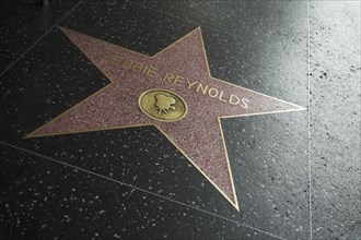 Hollywood Boulevard, Walk of Fame, stars / étoiles : Debbie Reynolds