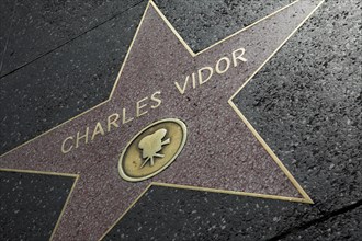 Hollywood Boulevard, Walk of Fame, stars / étoiles : Charles Vidor