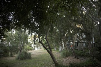 Eames House à Pacific Palisades (Charles and Ray Eames, architectes, 1949)