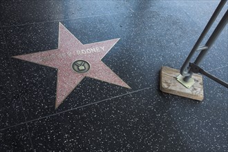 Hollywood Boulevard, Walk of Fame, stars / étoiles : Mickey Rooney