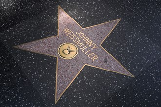 Hollywood Boulevard, Walk of Fame, stars / étoiles : Johnny Weissmuller