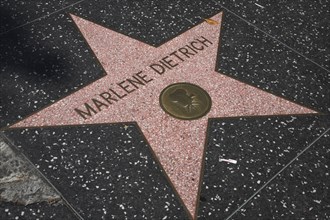 Hollywood Boulevard, Walk of Fame, stars / étoiles : Marlene Dietrich