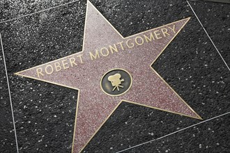 Hollywood Boulevard, Walk of Fame, stars / étoiles : Robert Montgomery