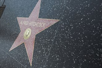 Hollywood Boulevard, Walk of Fame, stars / étoiles : Alfred Hitchcock