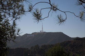 colline de Hollywood, Hollywood sign