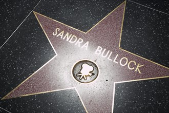 Hollywood Boulevard, Walk of Fame, stars / étoiles : Sandra Bullock