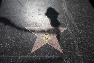 Hollywood Boulevard, Walk of Fame, stars / étoiles : Ingrid Bergman