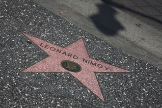 Hollywood Boulevard, Walk of Fame, stars / étoiles : Leonard Nimoy