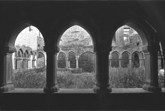 Cloître de la Moyne Abbey, en Irlande