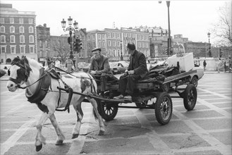 Cheval et charrette, rue O'Connell