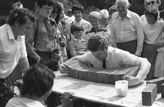 Strawberry Fair à Dublin, 1986