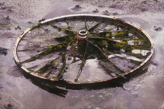 Roue de vélo abandonnée