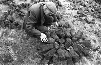 Séchage de mottes de tourbe en Irlande