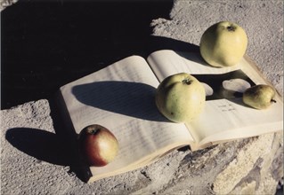 Pommes et ouvrage