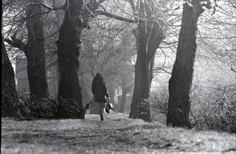 Promenade à Dublin, 1985