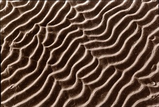 Ondulations dans le sable