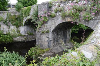 Pont sur la rivière Dodder, à Dublin
