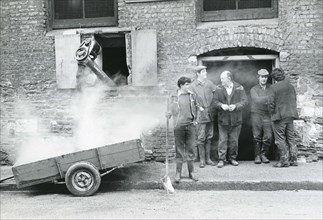Collecte de malt en Irlande