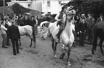 Killorglin horse fair, 1985