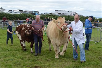 Salon de l'agriculture de Bonniconlon, Irlande