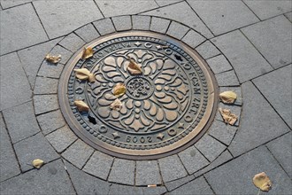 Plaque d'égout, Budapest
