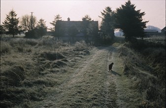 Matin d'hiver en Irlande