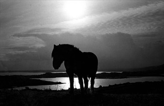 Lac Lough Conn, en Irlande