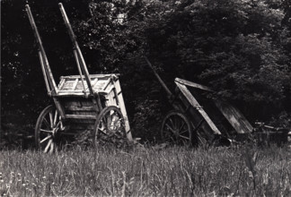 Chariots agricoles, Irlande