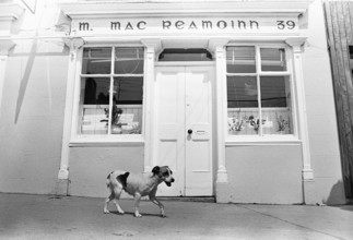 Gorey, County Wexford
