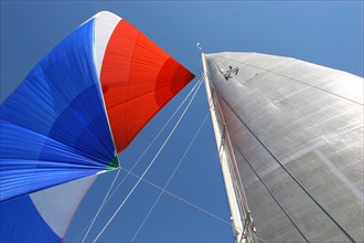 Monaco Classic Week 2005
