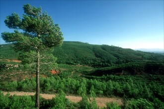 Montagne Sainte-Victoire