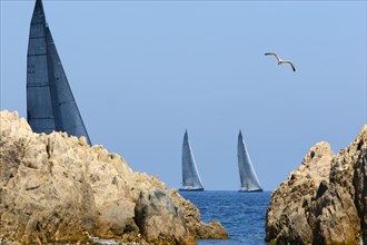 Au large de St Tropez