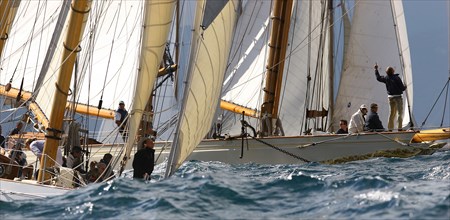 Voiliers lors des Voiles de St Tropez