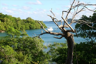 Paysage de Martinique