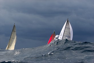 Maxi yacht au large de Cap Camarat lors des Voiles de Saint Tropez 2005