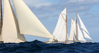 Voiliers classiques Tuiga et Eleonora lors des Voiles de St Tropez 2005
