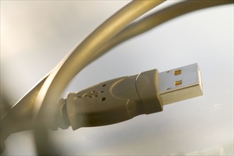 Closeup of a computer connection cable.