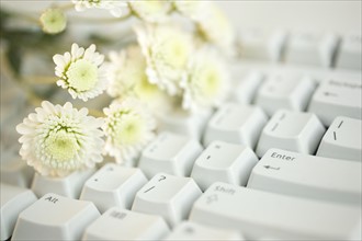 Still life of flowers on a computer keyboard.