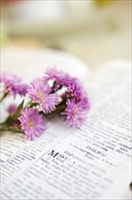 Still life of flowers on a Bible.