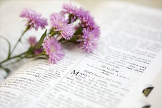 Flowers on a Bible open to the book of Psalms.