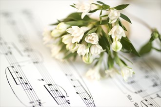Still life of flowers and sheet music.