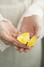Yellow butterfly in a woman's hands.