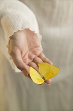 Yellow butterfly in a woman's hand.