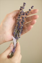 Woman holding a sprig of lavender.